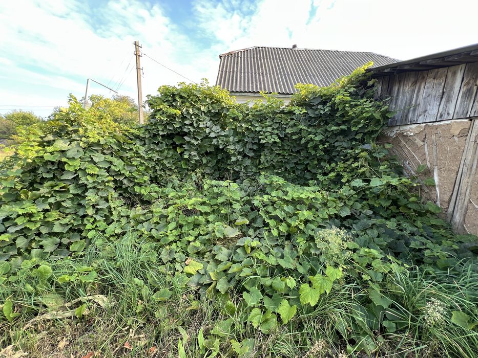 Продам будинок в селі Скригалівка