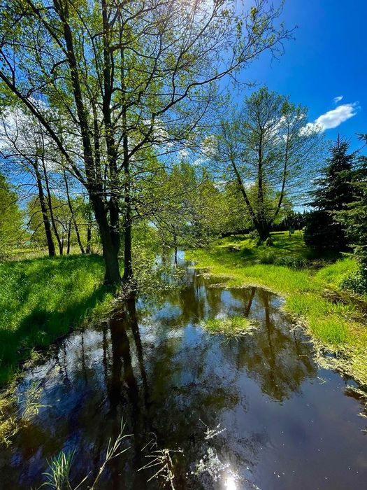 Cichy Zakątek  (do 14 osob)