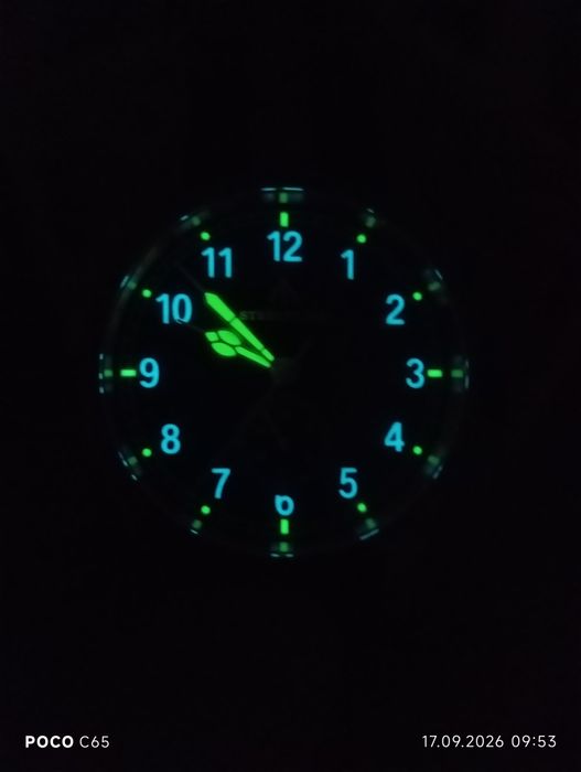 Наручные часы Steelflier original