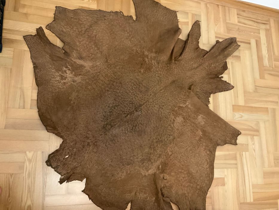 Skóra naturalna ze strusia, duża (b)