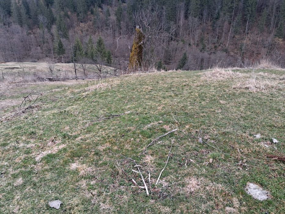 Земельна ділянка Криворівня