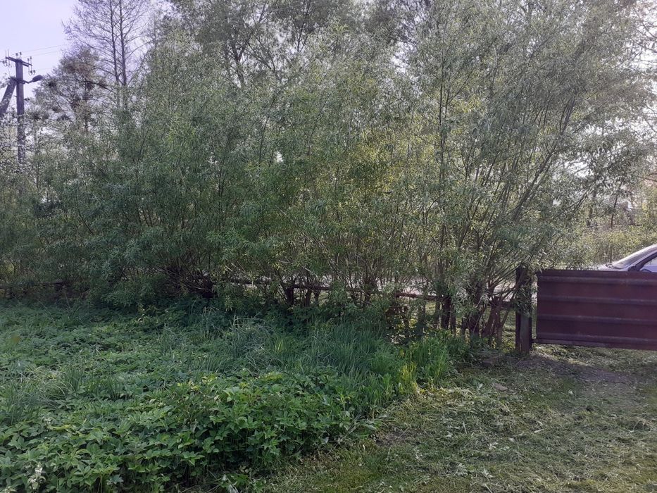 Продам дачу з банькою.