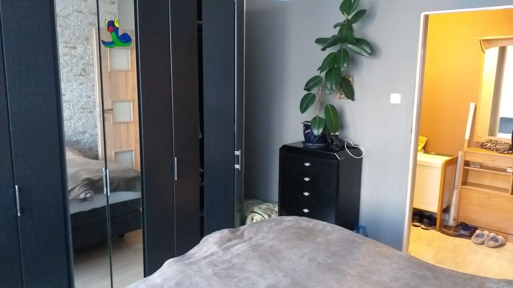 Mieszkanie do wynajecia