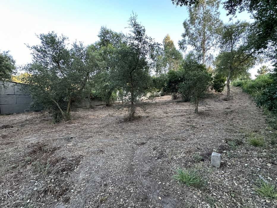 Terreno Urbanizável em Picassinos, Marinha Grande - Excelente Invest.