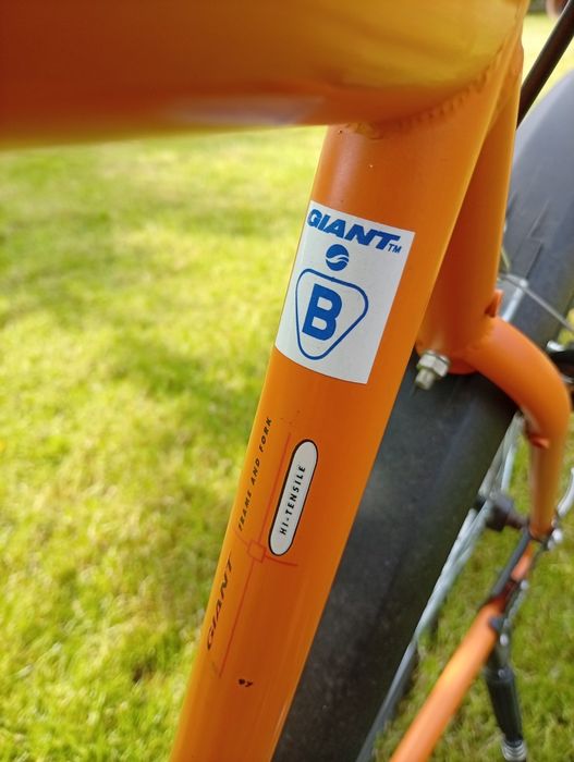 Rower  górski  GIANT (Typ: MTB)