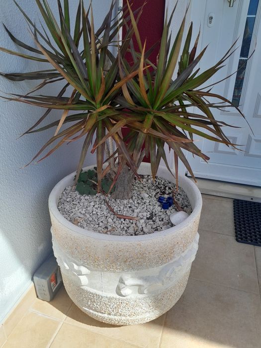 Conjunto de vasos em pedra