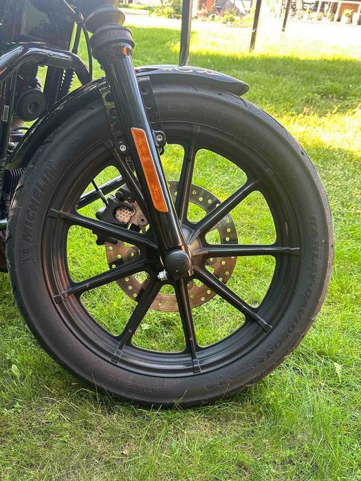 Harley-Davidson Sporster XL1200 Iron 2021 Аерографія