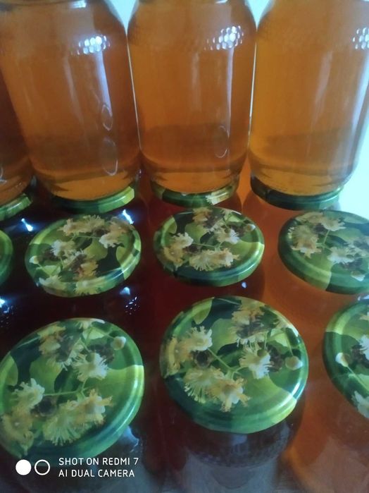 Miód wielokwiatowy i lipowy  z 2024r