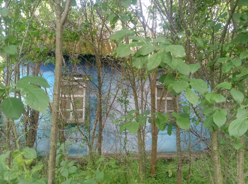 Продається будинок в Недригайлові