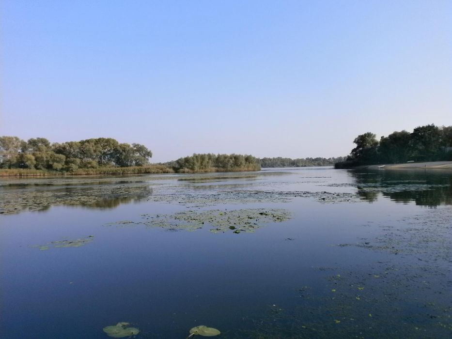 Земельна ділянка в с. Розумівка, під заміський клуб та ін.