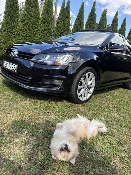 Volkswagen golf 7 2.0tdi Highline nowe oc