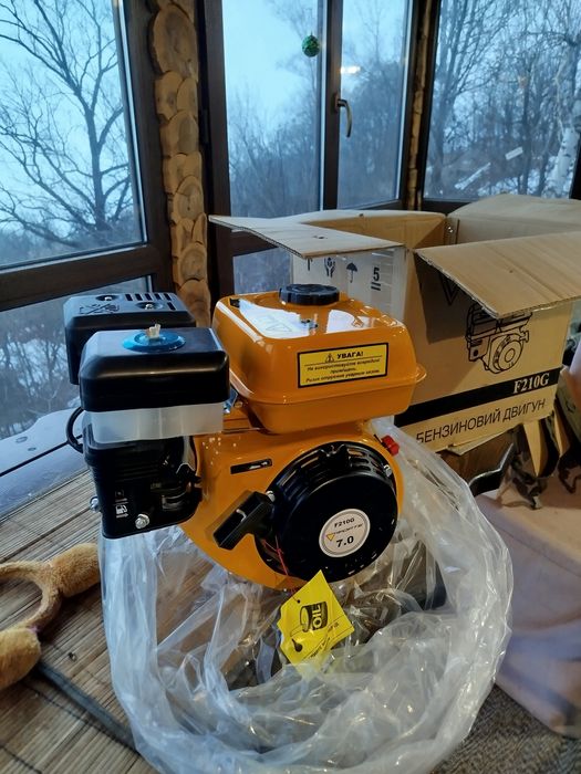 Двигун Forte F210G (вал 19мм)