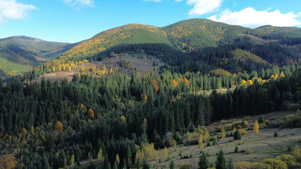 Земля під будову, межує з лісом, гарний доїзд