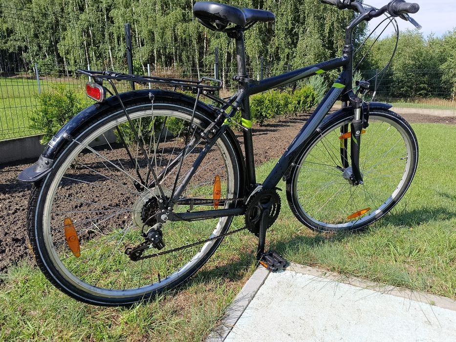 Pegasus Avanti 28 cali,rama 53 cm