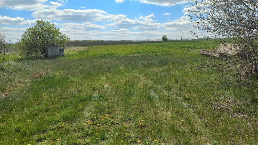 Продам приватизовану ділянку 0,20 га під будинок( це назва оголошення)