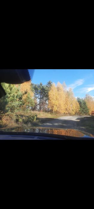 Генеральські озера, від 7 соток зі своїм лісом віком 80 років, ідеал для забудови, електрика, газ, котеджне містечко - Більше