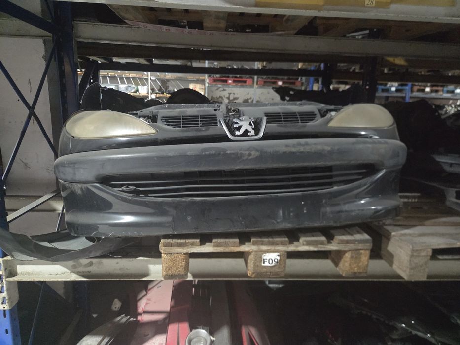 Frente completa PEUGEOT 206 (2A/C)