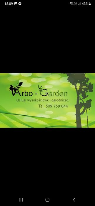 Wycinka pielęgnacja drzew, formowanie żywopłotów, usługi ogrodnicze