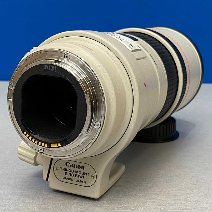 Canon EF 300mm f/4 L IS USM