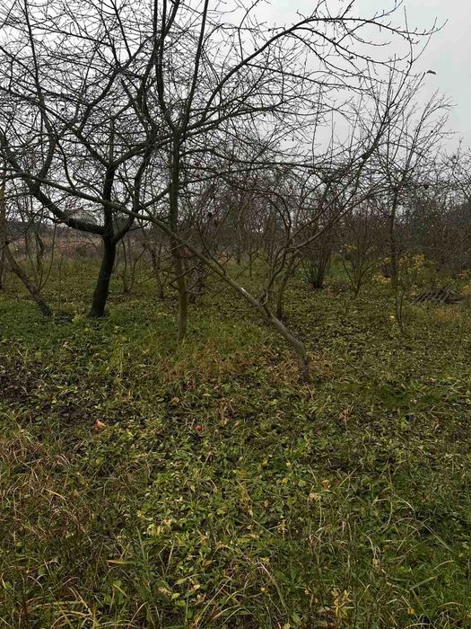 Продам 4-х кімнатний будинок в Бохониках 5330