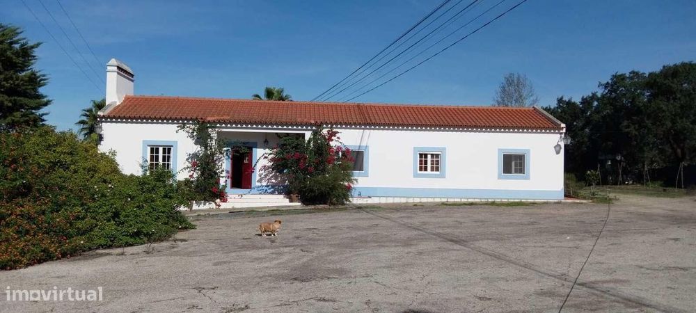 Moradia Isolada T4 com estacionamento, Álcacer do Sal, Alcacer do Sal