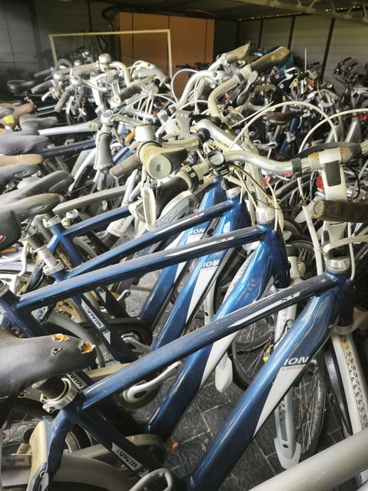 Pakiet rowerów ION Sparta Batavus 50 szt