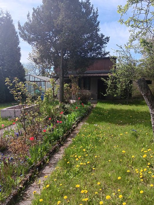 ogródek działkowy