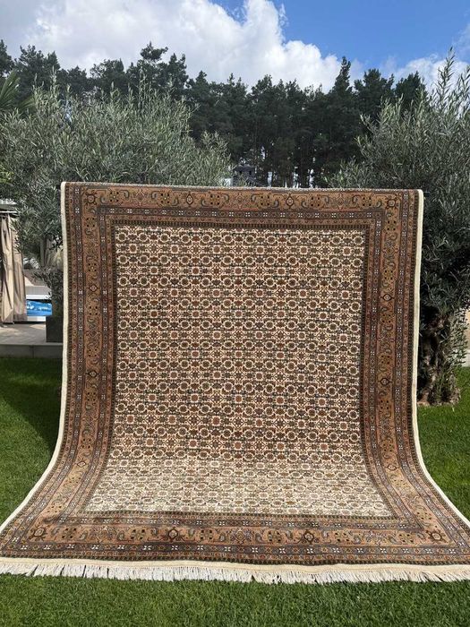 Idealny Dywan Perski Kaszmirowy Indo Bidjar 315x250 galeria 25 tyś