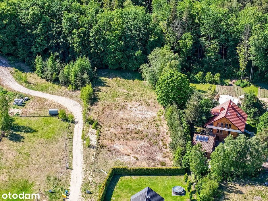 Sąsiadem jest las, plan zagospodarowania i media