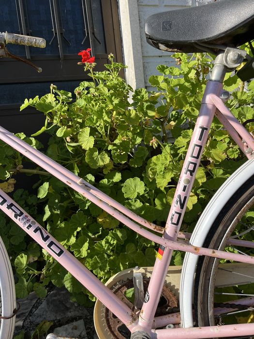 Bicicleta classica unisexo - estilo vintage