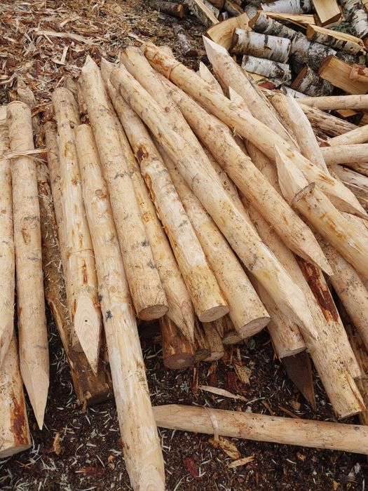 Stemple, kolki ogrodzeniowe, paliki melioracyjne,  ogrodzenia.