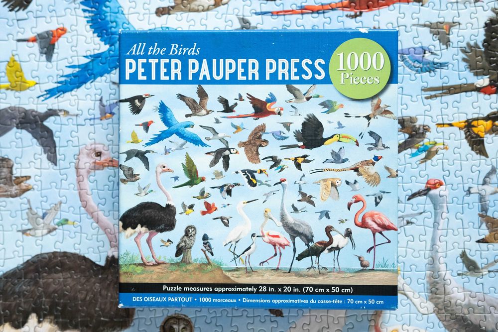 Puzzle Peter Pauper Press All the Birds 1000 el kompletne