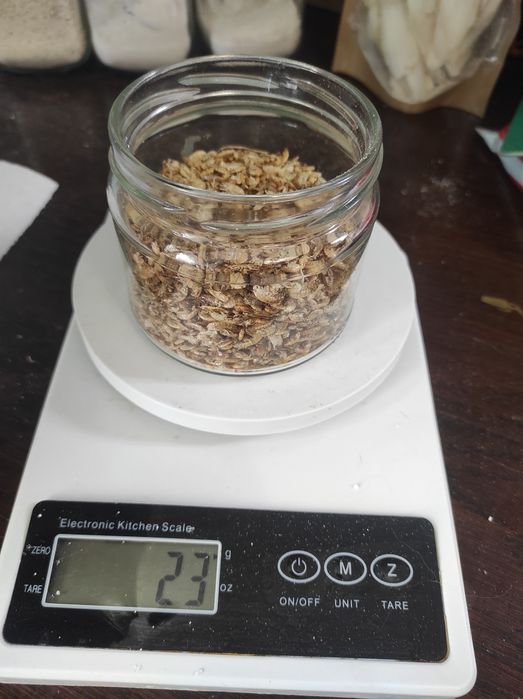 Сепия, корм для улиток ахатин, гигрометр, гаммарус