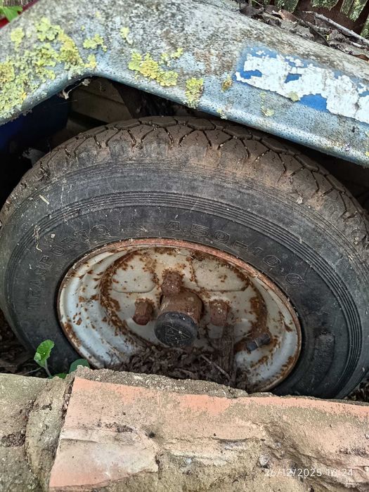 Atrelado - Reboque cães caça