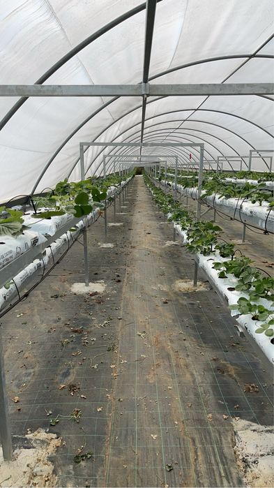 Vendo Estrutura Aço Galvanizado