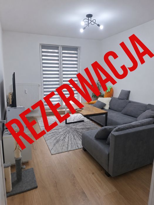 Mieszkanie, które łączy komfort domu z wygodą życia w centrum Cieszyna