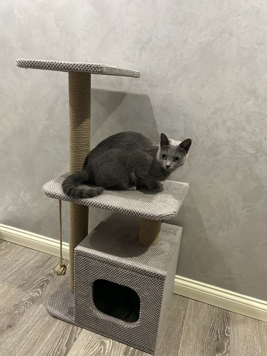 Когтеточка домик 88 см  для кошек с лежанкой