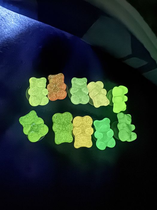 Misie świecą w ciemności