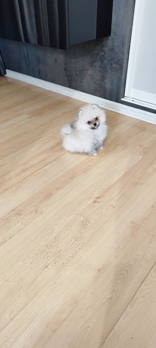 Маю чудову дівчинку   та хлопчика