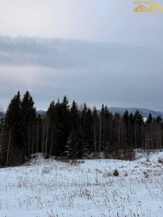 Ільці. 45сотих. Нерухомість. Земля. Карпати. Верховинський район