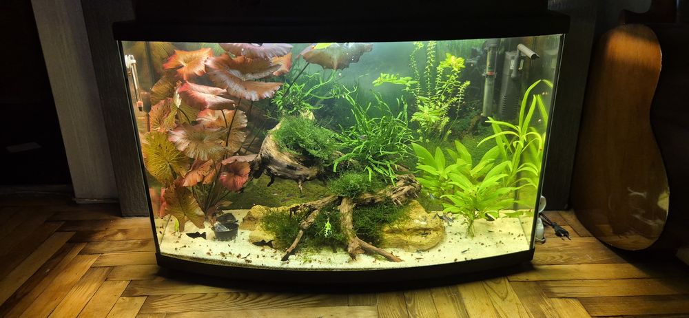Аквариум в идеале.