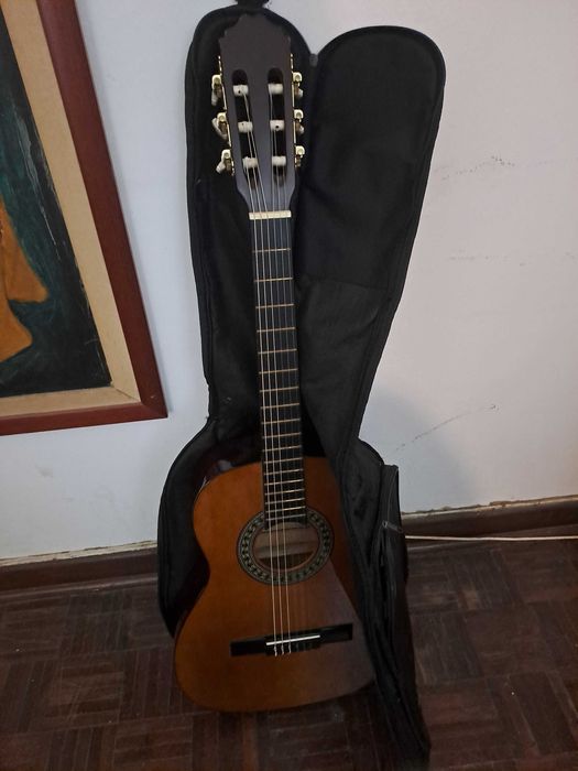 Viola 3/4 com saco para transporte