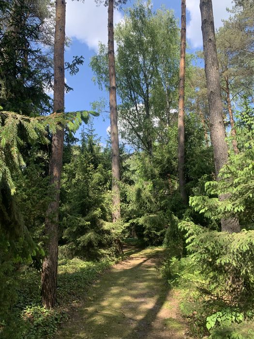 Działka budowlana 2130 m² z domkiem w lesie nad rzeką Liwiec! Stacja PKP, plaża, media. Tylko 50 min od Warszawy. Kaliska - Gmina Łochów. - Widok 5