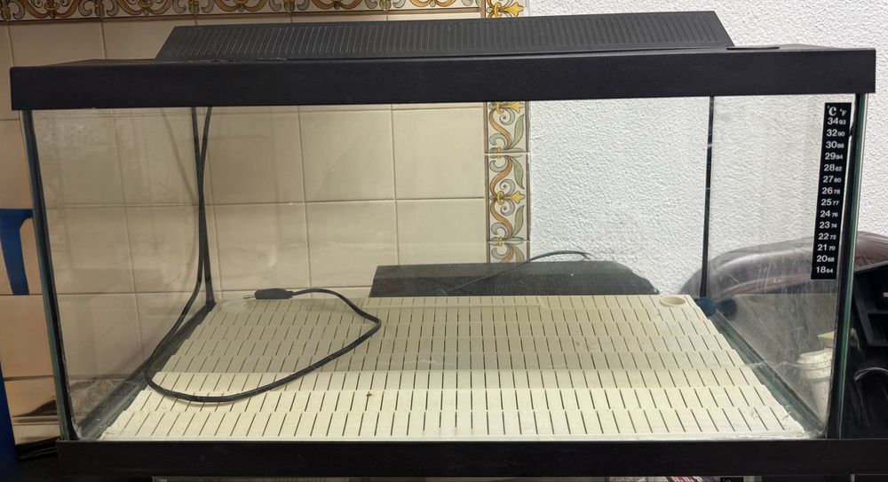 Aquário 70L Completo com Iluminação – Excelente Estado