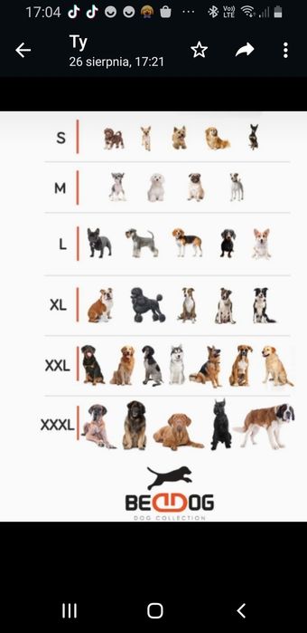 Legowisko dla psa Ponton L 95x75 Beagle, Buldogi, Staffiki