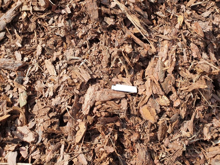 Kora sosnowa ogrodowa