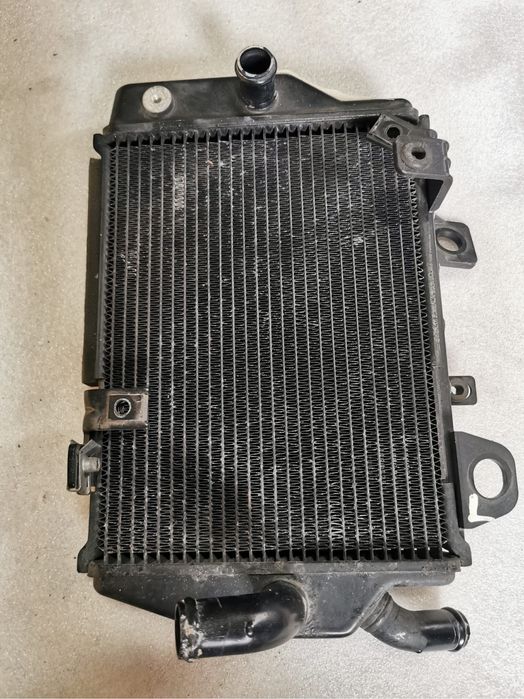 Triumph Tiger 900 - chłodnica lewa, bok, wypełnienie - część oryginalna.