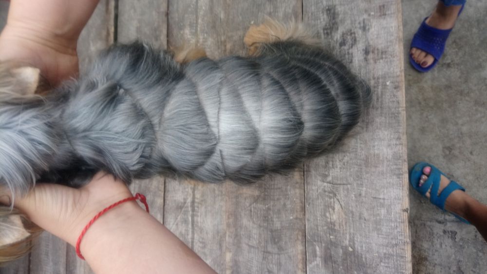 Стрижка собак ,котив и др.животных.