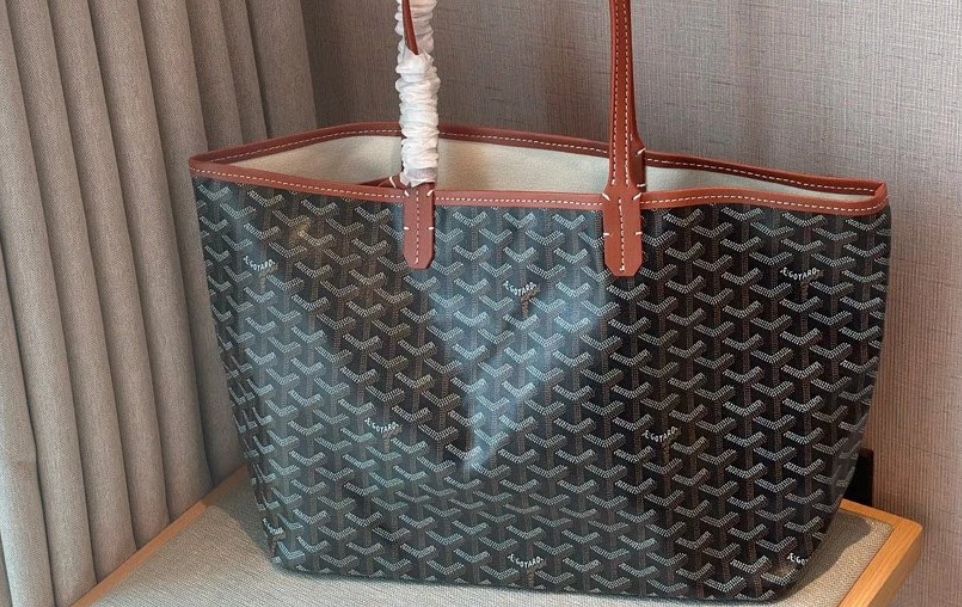 Goyard olx online