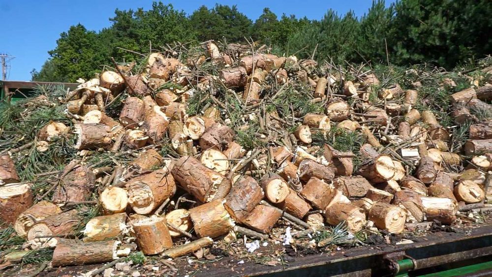 Rębak walcowy R-120 + taśmociag - PROMOCJA == POLSKI==